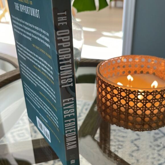 The Opportunist: A Novel by Elyse Friedman - Picture 4 of 6